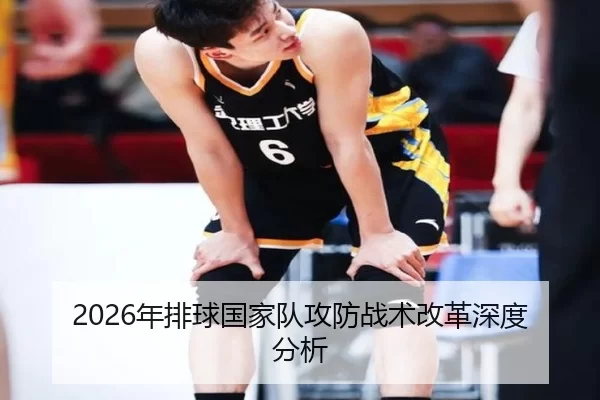 2026年排球国家队攻防战术改革深度分析